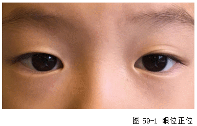 ZY016_304_2.gif